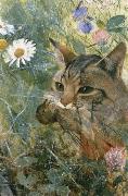 unknow artist Cats with fagelunge in mouth Germany oil painting artist